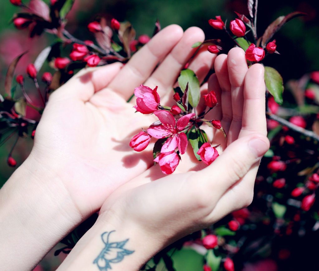 Coltivare le 3 c Antonia Defina