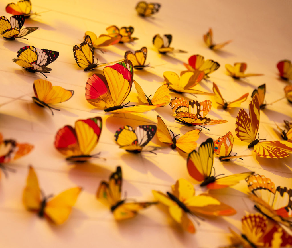 Curare le 3 c Antonia Defina